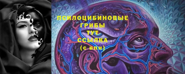 ПСИЛОЦИБИНОВЫЕ ГРИБЫ Аркадак