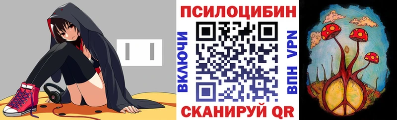 Псилоцибиновые грибы прущие грибы  Камень-на-Оби 